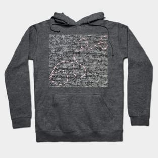 Thread Trail Hoodie